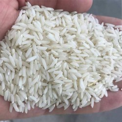برنج طارم معطر ارگانیک فریدونکنار (دابوی شمالی)