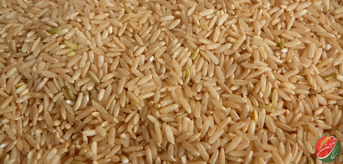 برنج قهوه ای را بدون نگرانی در برنامه غذایی خود قرار دهید